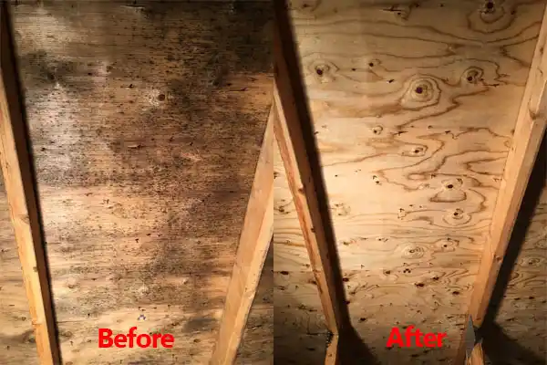 water damage restoration service Suttons Bay